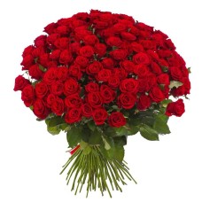 bunch of 100 red roses (Standard)