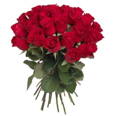33 red roses (Standard)