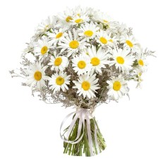 bouquet of daisies (Standard)