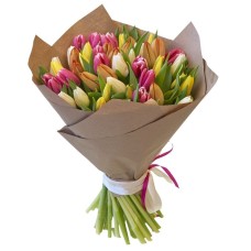 amazing mixed tulips (Standard)