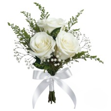 3 White Roses (Refined)