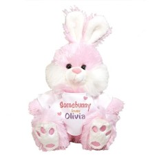 Personalized Somebunny Loves Me Pink Bunny - 10"
