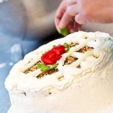 Cream And Apricot