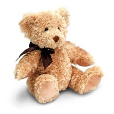 Teddy Bear - Forest