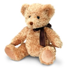 Personalised Sherwood teddy