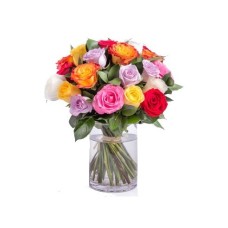 Colorful Roses