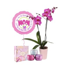 Purple Orchids And Scented Candles Set