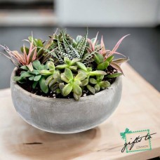 Evergreen Table Pot