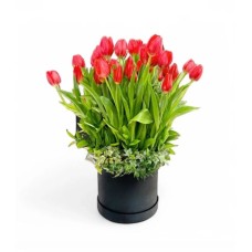 Passionate Red Tulips Garden (20 tulips)