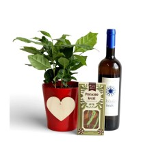 Love & Altitudes – Coffee Plant & Wine Gift Set