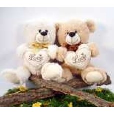 Teddy Bear With Heart
