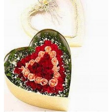 Heart of Love