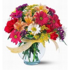 Florid Spirits