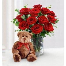 Teddy's Classic Dozen (Teddys Classic Dozen)