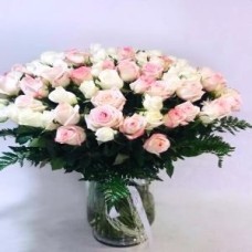 Passion for Roses