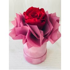 Velvet Forever Red â€“ FOR030