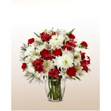 Joy in Bloom