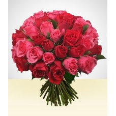 Perfect Pair: 36 roses Bouquet Pink and Red