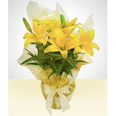Golden Rain: Yellow Planted Lily