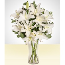 Tranquility: White Lily
