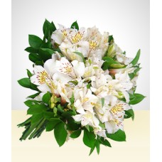 Friendly: White Astromelias Bouquet