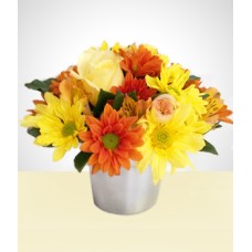 Florist: Wild Flowers
