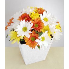 Blooming: Decorated Daisy