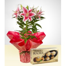 Pack: Flowers and You