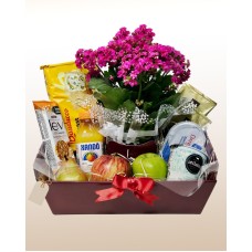 Gourmet Breakfast with Coffee and Kalanchoe