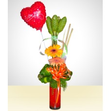 Gerberas Arrangement