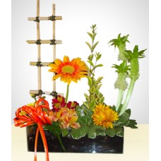 Garden Arrangement