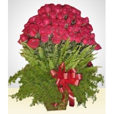 Scarlet Impact: 100 Roses Arrangement
