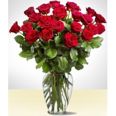 Majestic 24 Red Roses