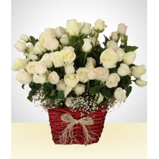 Champagne Impact: 100 White Roses Arrangement