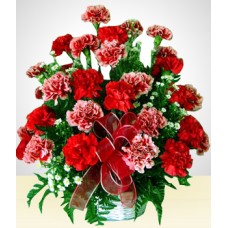 Red Illusion: Red & Pink Carnations