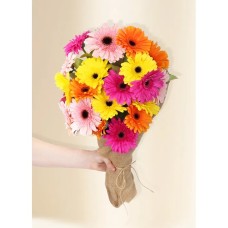 Gerberas - Colour Burst (20)