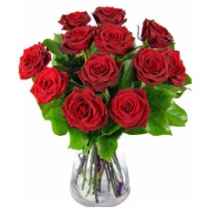 Amorous Love 12 Premium Red Roses