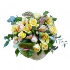 Magic Bouquet