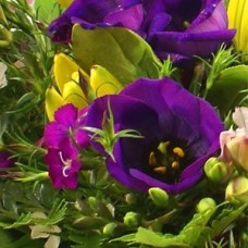 Seasonal Flower Basket (Standard)