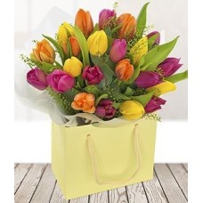 Tulip Temptation