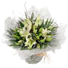 Lily Classic Handtied (Medium)