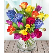 Spring Pop