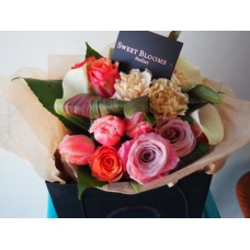 Rose Radiance (Small)