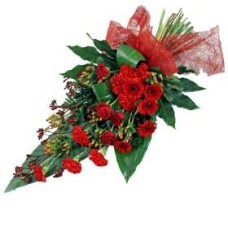 Red spray (Standard)