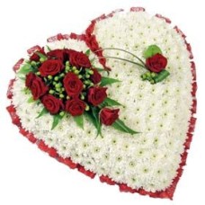 Textured Heart Based (Standard)