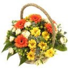 Amber Basket (Standard)