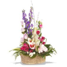 Chelsea Basket (Standard)