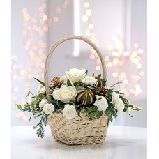 Frosted Basket (Standard)