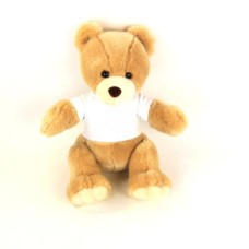 Bear Essentials Plush Bear
