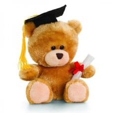 Graduation Teddy Bear